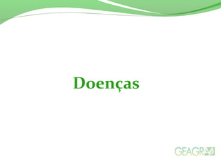 Doenças
 