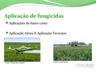 Aplicações de baixo custo
Aplicação Aérea X Aplicação Terrestre
Aplicação de fungicidas
Fonte: Portal do aviador Fonte: O presente
 