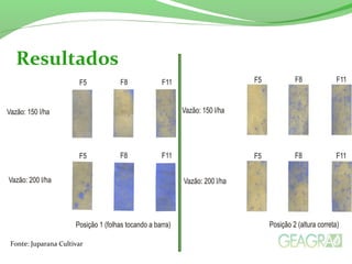 Texto ou subtópicos.
Resultados
Fonte: Juparana Cultivar
 