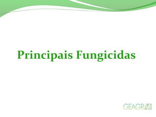 Principais Fungicidas
 