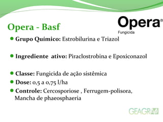 Grupo Químico: Estrobilurina e Triazol
Ingrediente ativo: Piraclostrobina e Epoxiconazol
Classe: Fungicida de ação sistêmica
Dose: 0,5 a 0,75 l/ha
Controle: Cercosporiose , Ferrugem-polisora,
Mancha de phaeosphaeria
Opera - Basf
 