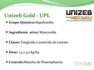 Grupo Químico:Alquilenobis
Ingrediente ativo: Mancozebe
Classe: Fungicida e acaricida de contato
Dose: 1,5 a 3,0 kg/ha
Controle:Mancha de Phaeosphaeria
Unizeb Gold - UPL
 