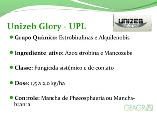 Grupo Químico: Estrobirulinas e Alquilenobis
Ingrediente ativo: Azoxistrobina e Mancozebe
Classe: Fungicida sistêmico e de contato
Dose: 1,5 a 2,0 kg/ha
Controle: Mancha de Phaeosphaeria ou Mancha-
branca
Unizeb Glory - UPL
 