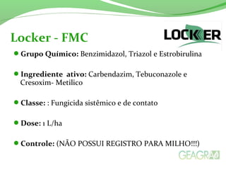 Grupo Químico: Benzimidazol, Triazol e Estrobirulina
Ingrediente ativo: Carbendazim, Tebuconazole e
Cresoxim- Metilico
Classe: : Fungicida sistêmico e de contato
Dose: 1 L/ha
Controle: (NÃO POSSUI REGISTRO PARA MILHO!!!)
Locker - FMC
 