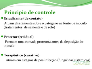 Erradicante (de contato)
Atuam diretamente sobre o patógeno na fonte de inoculo
(tratamentos de semente e de solo)
Protetor (residual)
Formam uma camada protetora antes da deposição do
inoculo
Terapêutico (curativo)
Atuam em estágios de pós-infecção (fungicidas sistêmicos)
Principio de controle
 