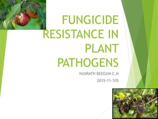 FUNGICIDE
RESISTANCE IN
PLANT
PATHOGENS
NUSRATH BEEGUM C.H
2015-11-105
1
 