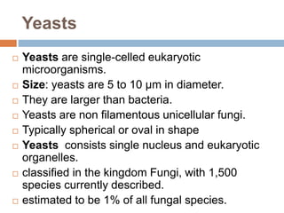 Yeasts
 Yeasts are single-celled eukaryotic
microorganisms.
 Size: yeasts are 5 to 10 µm in diameter.
 They are larger than bacteria.
 Yeasts are non filamentous unicellular fungi.
 Typically spherical or oval in shape
 Yeasts consists single nucleus and eukaryotic
organelles.
 classified in the kingdom Fungi, with 1,500
species currently described.
 estimated to be 1% of all fungal species.
 