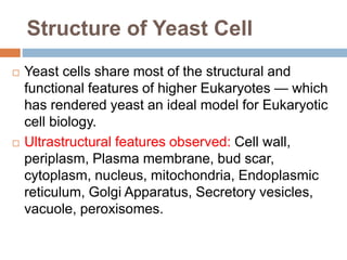 Structure of Yeast Cell
 Yeast cells share most of the structural and
functional features of higher Eukaryotes — which
has rendered yeast an ideal model for Eukaryotic
cell biology.
 Ultrastructural features observed: Cell wall,
periplasm, Plasma membrane, bud scar,
cytoplasm, nucleus, mitochondria, Endoplasmic
reticulum, Golgi Apparatus, Secretory vesicles,
vacuole, peroxisomes.
 