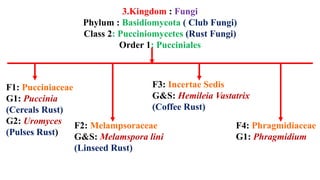 Fungi classification plant pathology.pptx