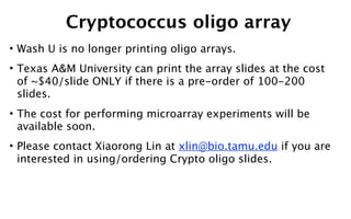 Cryptococcus oligo array
• Wash U is no longer printing oligo arrays.
• Texas A&M University can print the array slides at...