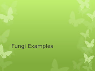 Fungi Examples
 
