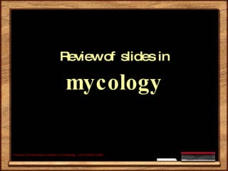 Review of slides in  mycology Pictures c/0 Karentan.Content c/o chumtemp.  OLFU Med II 2008 