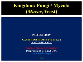 Kingdom: Fungi / Mycota
(Mucor, Yeast)
PRESENTED BY
GANESH JOSHI (M.Sc. Botany, T.U.)
(RA: TUCH / KATH)
Faculty of Science & Technology
Department of Botany, SWSC
Kathmandu, Nepal
2021
 
