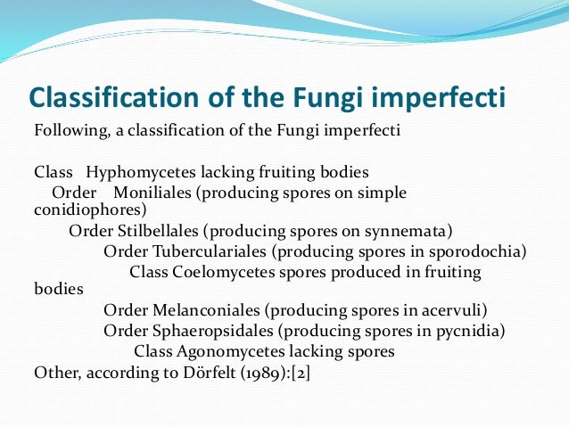Fungi imperfecti