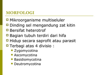 Jamur Multiseluler Fungi (jamur) | PPT