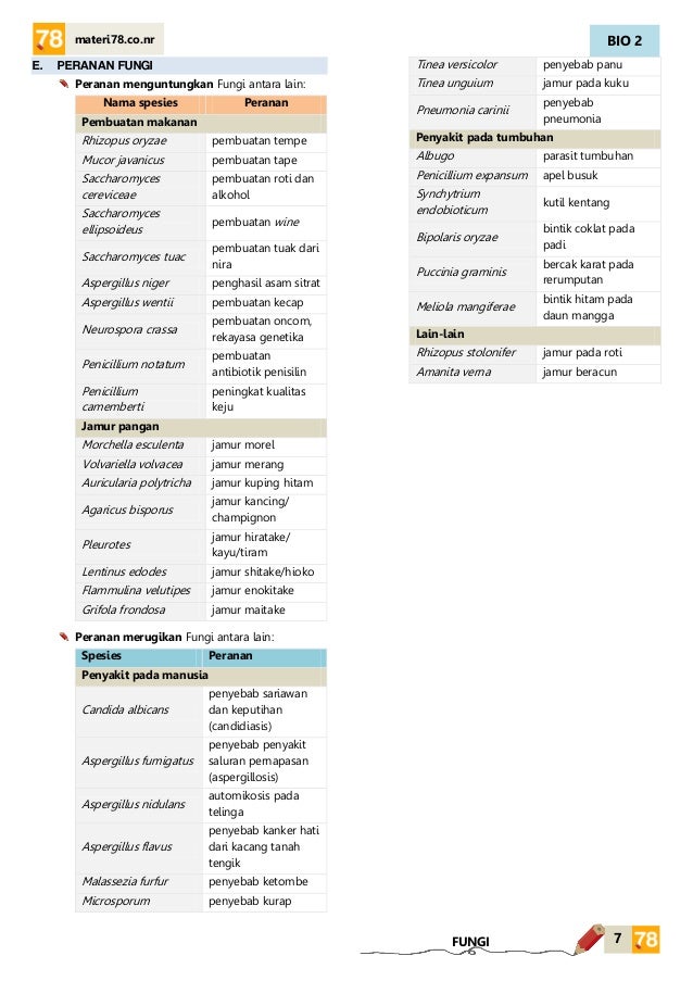 Materi Fungi Jamur Kelas Xi Sma