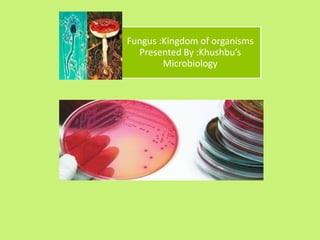 Fungus :Kingdom of organisms
Presented By :Khushbu’s
Microbiology
 