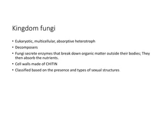 Fungi Lab PPT.pdf