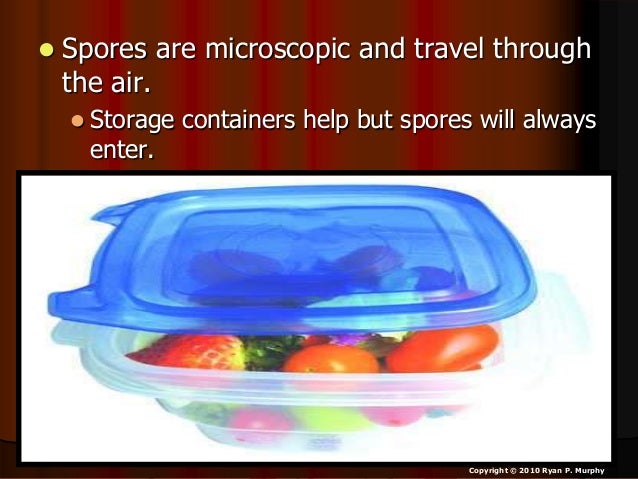 Can Mold Travel Through The Air Can Mold Travel Through The Air