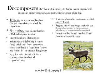 acloutier2013 copyright
Decomposers the work of a fungi is to break down organic and
inorganic matter into soil, and nutri...