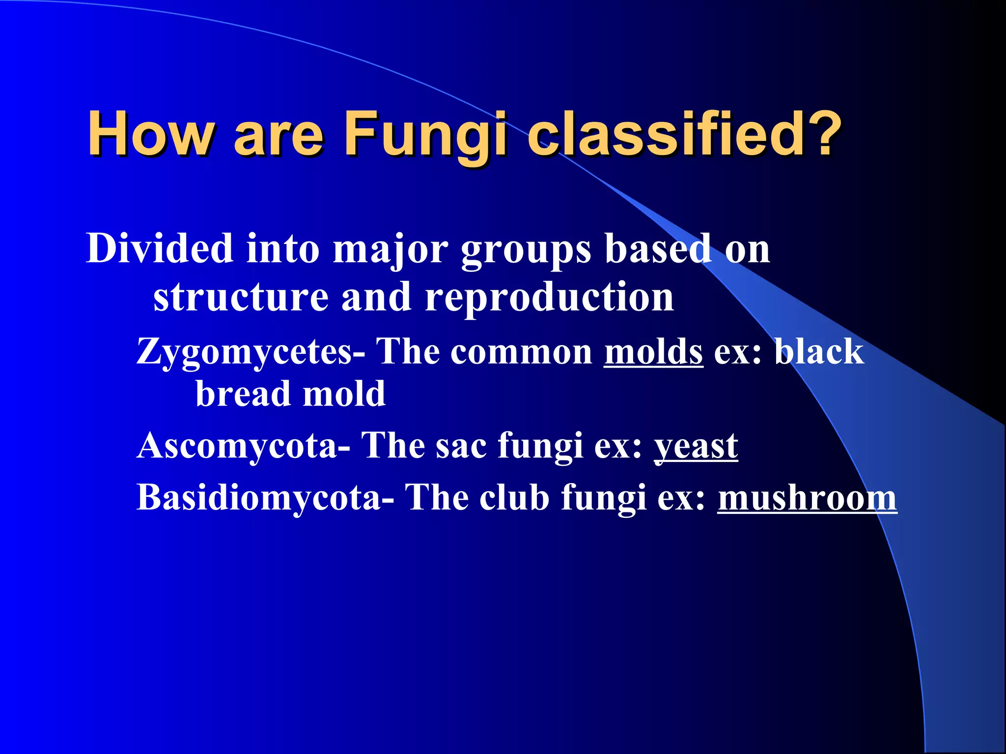 How are Fungi classified?How are Fungi classified?
Divided into major groups based on
structure and reproduction
Zygomycetes- The common molds ex: black
bread mold
Ascomycota- The sac fungi ex: yeast
Basidiomycota- The club fungi ex: mushroom
 
