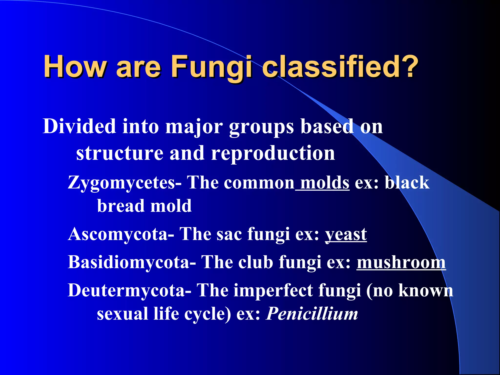 How are Fungi classified?How are Fungi classified?
Divided into major groups based on
structure and reproduction
Zygomycetes- The common molds ex: black
bread mold
Ascomycota- The sac fungi ex: yeast
Basidiomycota- The club fungi ex: mushroom
Deutermycota- The imperfect fungi (no known
sexual life cycle) ex: Penicillium
 