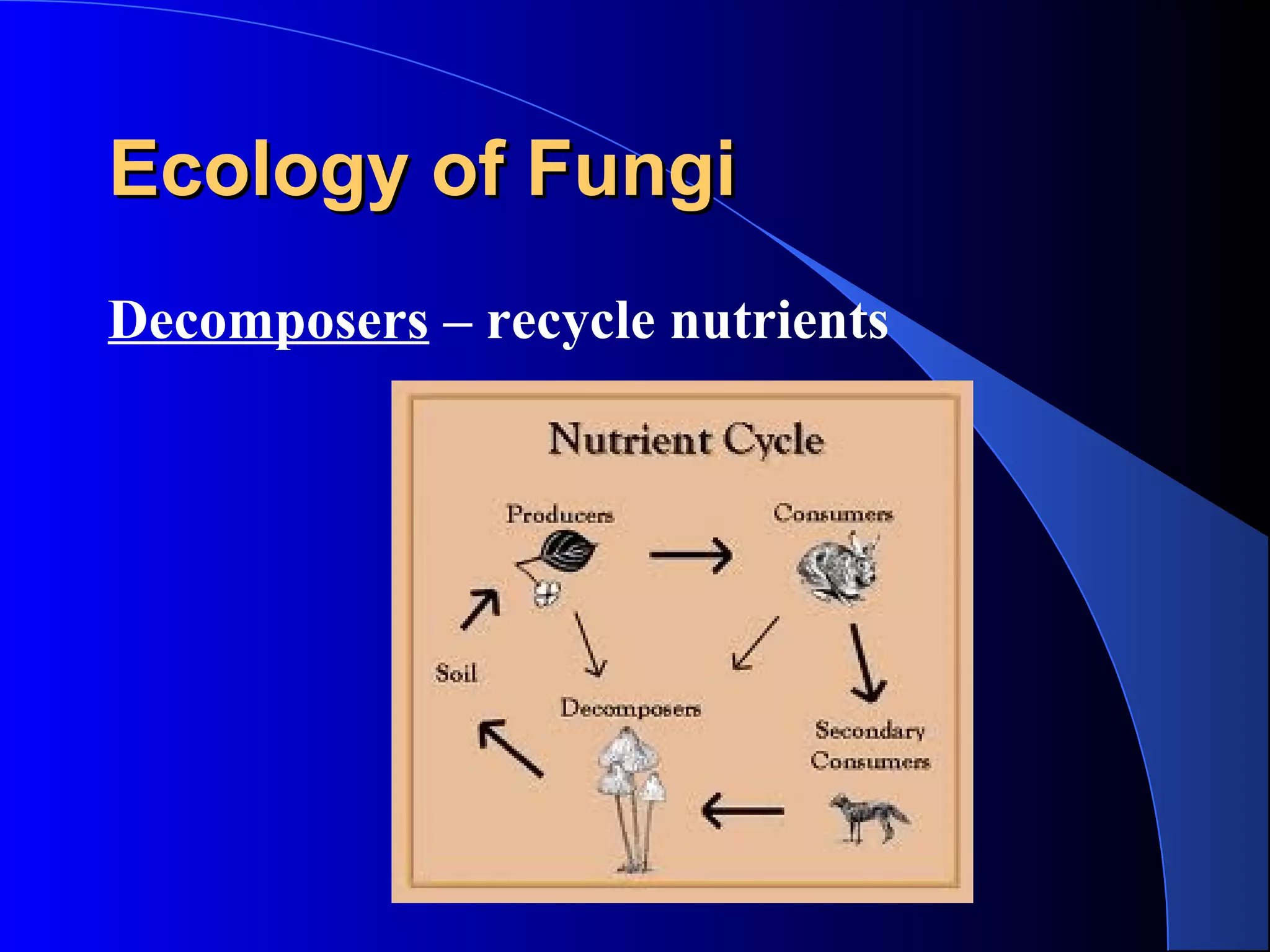 Ecology of FungiEcology of Fungi
Decomposers – recycle nutrients
 
