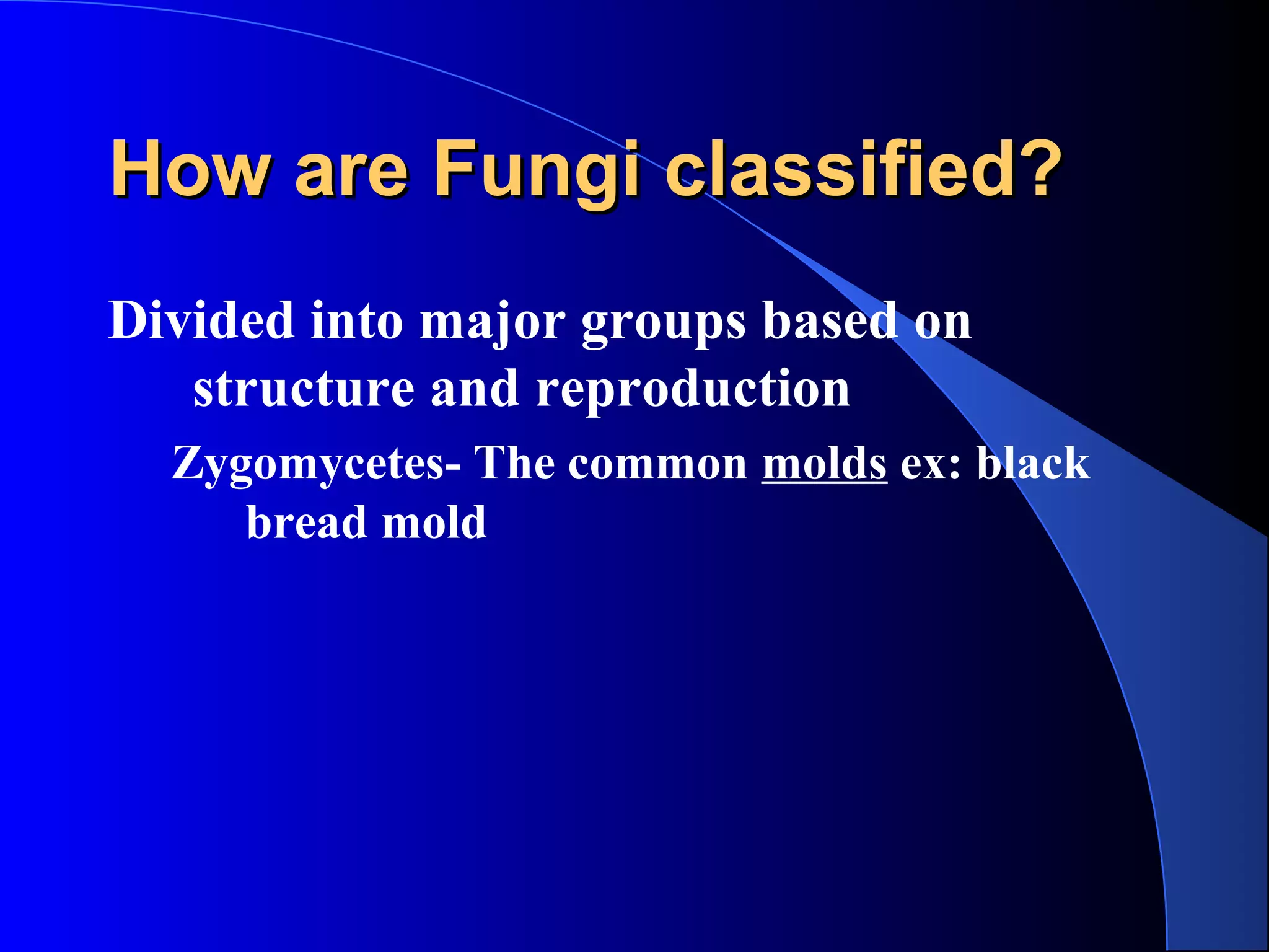 How are Fungi classified?How are Fungi classified?
Divided into major groups based on
structure and reproduction
Zygomycetes- The common molds ex: black
bread mold
 