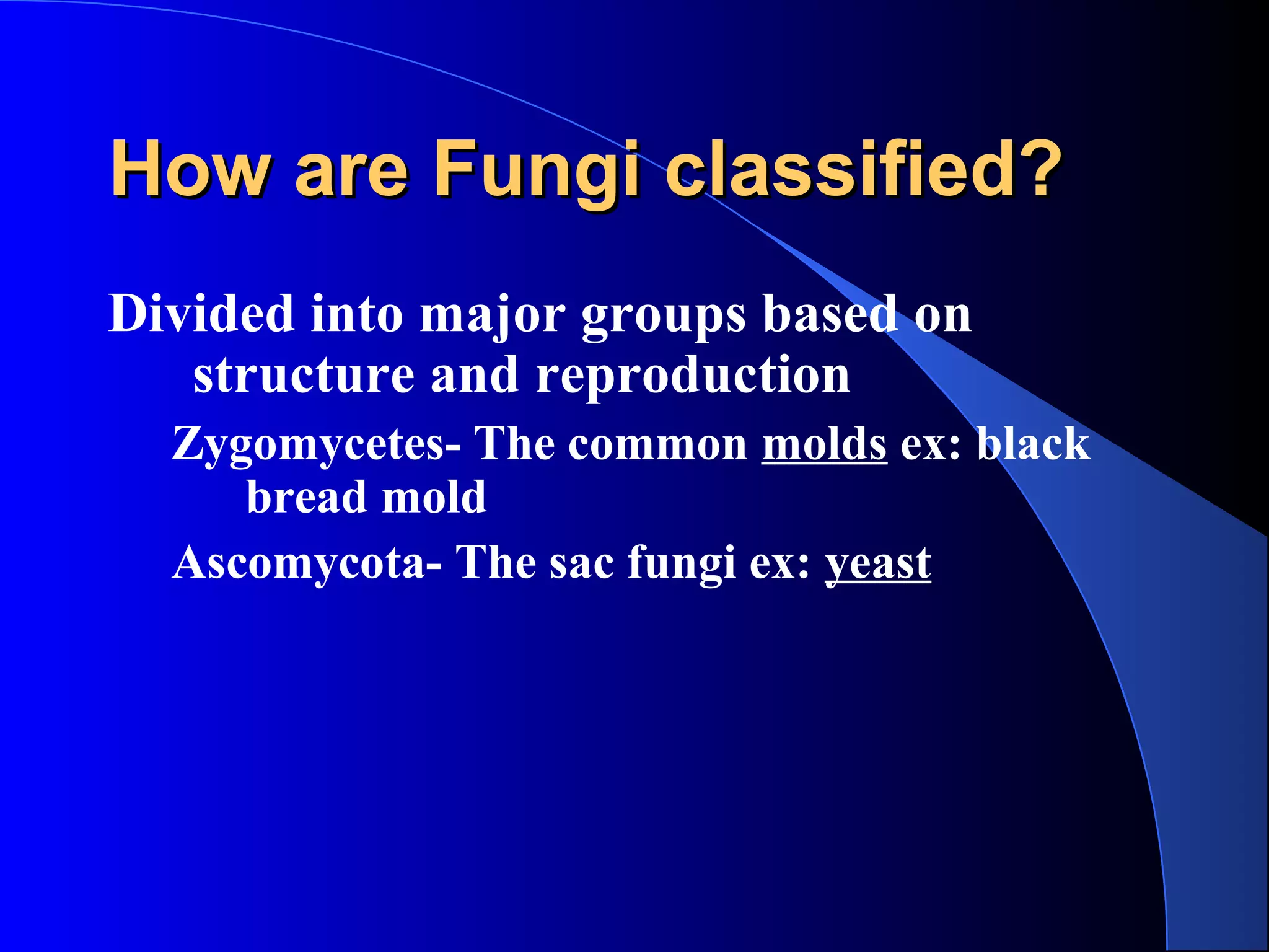 How are Fungi classified?How are Fungi classified?
Divided into major groups based on
structure and reproduction
Zygomycetes- The common molds ex: black
bread mold
Ascomycota- The sac fungi ex: yeast
 