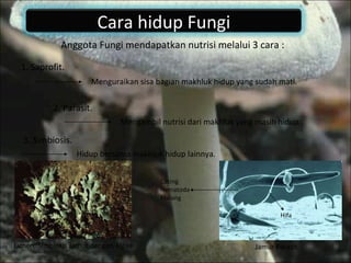 Anggota Fungi mendapatkan nutrisi melalui 3 cara : 1. Saprofit. 2. Parasit. 3. Simbiosis. Menguraikan sisa bagian makhluk hidup yang sudah mati. Mengambil nutrisi dari makhluk yang masih hidup. Hidup bersama makhluk hidup lainnya. Jamur Parasit Hifa Cacing Nematoda Malang Lichen, Simbiosis Jamur dengan Algae Cara hidup Fungi 