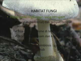 HABITAT FUNGI Hidup pada lingkungan yang beragam Daratan (terestrial) dan tempat-tempat lembab Sisa-sisa organisme di laut dan air tawar Di lingkungan asam dan konsentrasi gula tinggi Jamur yang bersimbiosis : gurun, gunung, salju, kutub 