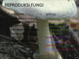 REPRODUKSI FUNGI  ASEKSUAL  Pembentukan kuncup atau tunas pada jamur uniseluler Pemutusan benang hifa Pembentukan spora aseksual (sporangiospora atau konidiospora) SEKSUAL dengan spora seksual Spora seksual dihasilkan secara SINGAMI (penyatuan sel/hifa yg berbeda jenis) SINGAMI tdd 2 tahap Plasmogami  (penyatuan plasma sel) Kariogami  (penyatuan inti sel) 