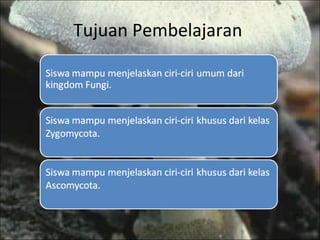 Tujuan Pembelajaran  