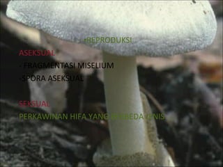 REPRODUKSI ASEKSUAL - FRAGMENTASI MISELIUM SPORA ASEKSUAL SEKSUAL PERKAWINAN HIFA YANG BERBEDA JENIS 