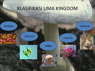 KLASIFIKASI LIMA KINGDOM MONERA PROTISTA FUNGI PLANTAE ANIMALIA 