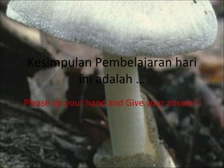 Kesimpulan Pembelajaran hari ini adalah … Please up your hand and Give your answer !  