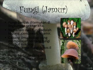 Fungi (Jamur) Fungi banyak ditemukan di lingkungan sekitar kita. Nama lain dari fungi adalah kapang, cendawan, khamir. Cabang ilmu biologi yang mempelajari tentang fungi disebut mikologi (mykes:jamur/fungi;logos:ilmu). Fungi berbeda dengan tumbuhan tingkat tinggi. 