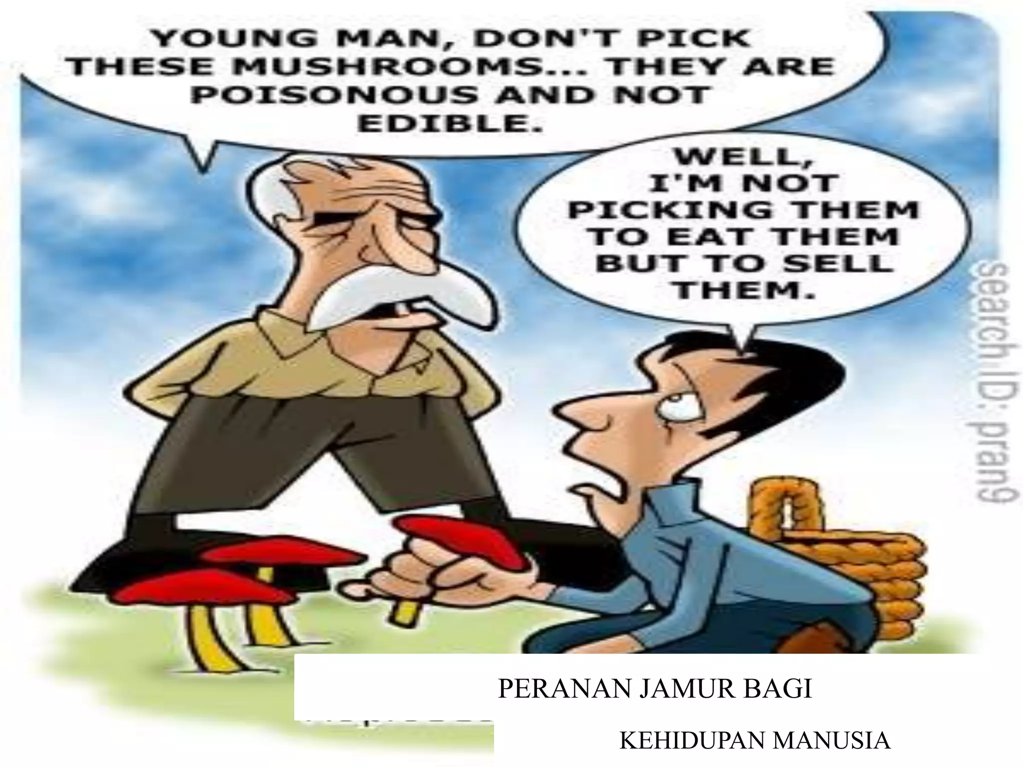 PERANAN JAMUR BAGI
      KEHIDUPAN MANUSIA
 