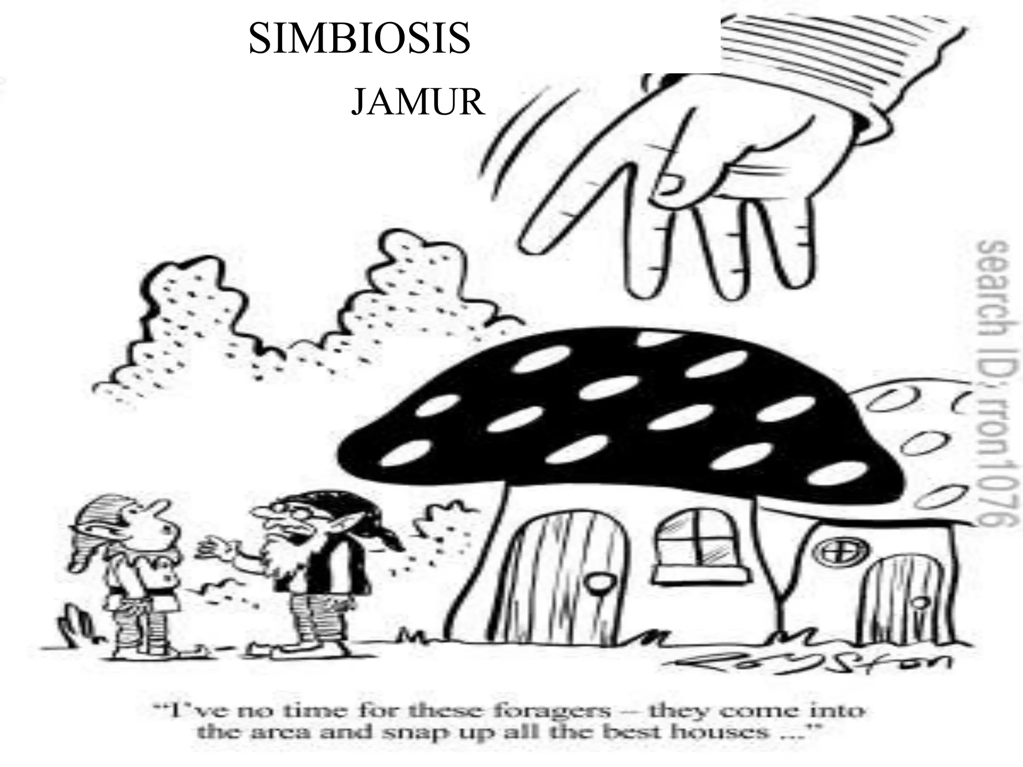 SIMBIOSIS
    JAMUR
 