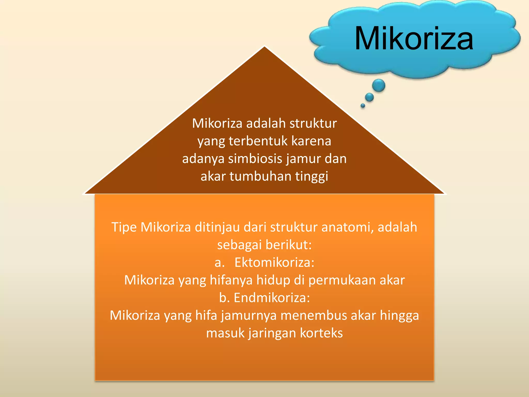 Mikoriza

             Mikoriza adalah struktur
              yang terbentuk karena
            adanya simbiosis jamur dan
               akar tumbuhan tinggi


Tipe Mikoriza ditinjau dari struktur anatomi, adalah
                  sebagai berikut:
                  a. Ektomikoriza:
  Mikoriza yang hifanya hidup di permukaan akar
                   b. Endmikoriza:
Mikoriza yang hifa jamurnya menembus akar hingga
                masuk jaringan korteks
 