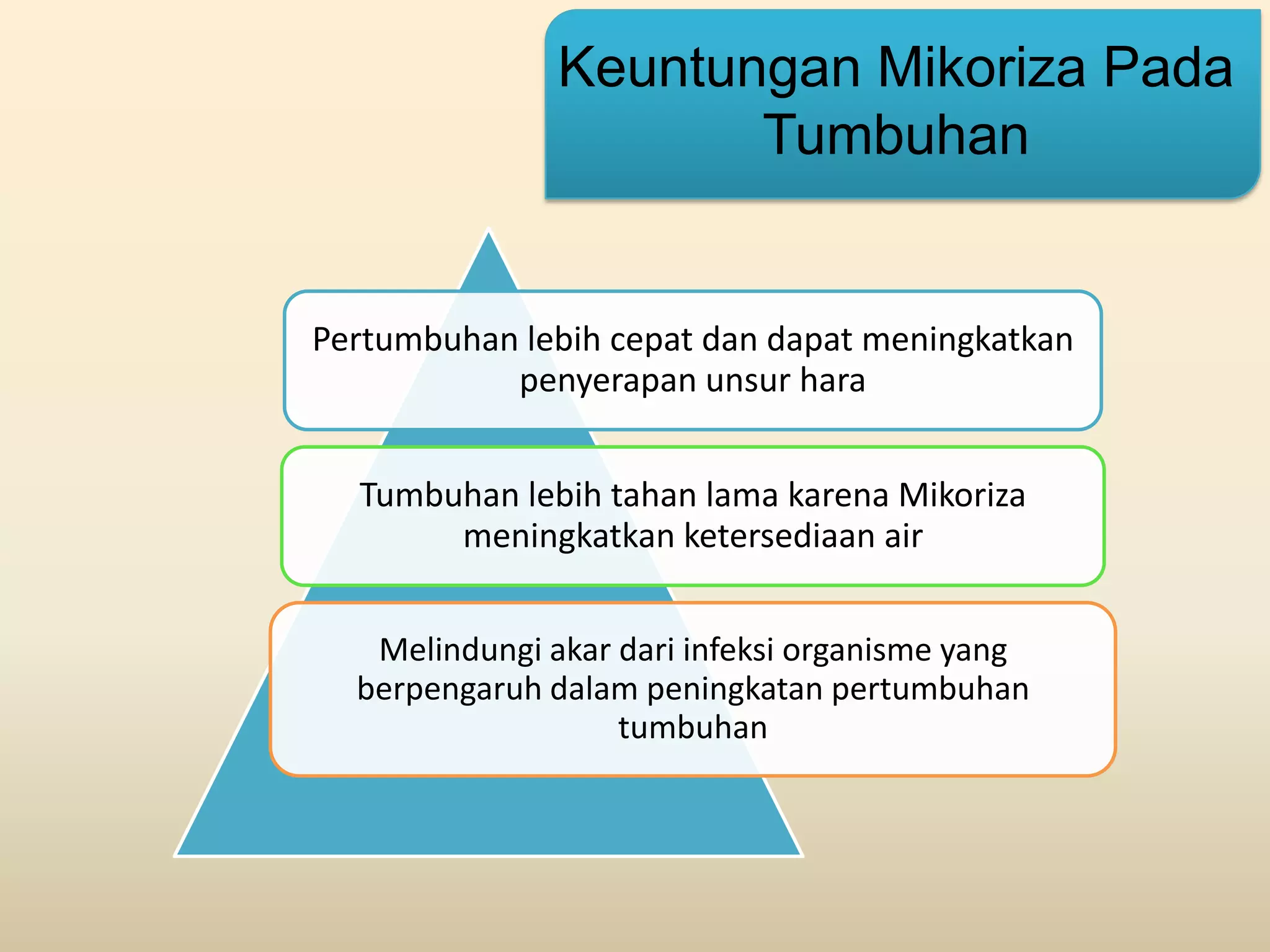 Keuntungan Mikoriza Pada
                      Tumbuhan


Pertumbuhan lebih cepat dan dapat meningkatkan
           penyerapan unsur hara


  Tumbuhan lebih tahan lama karena Mikoriza
       meningkatkan ketersediaan air


   Melindungi akar dari infeksi organisme yang
  berpengaruh dalam peningkatan pertumbuhan
                   tumbuhan
 