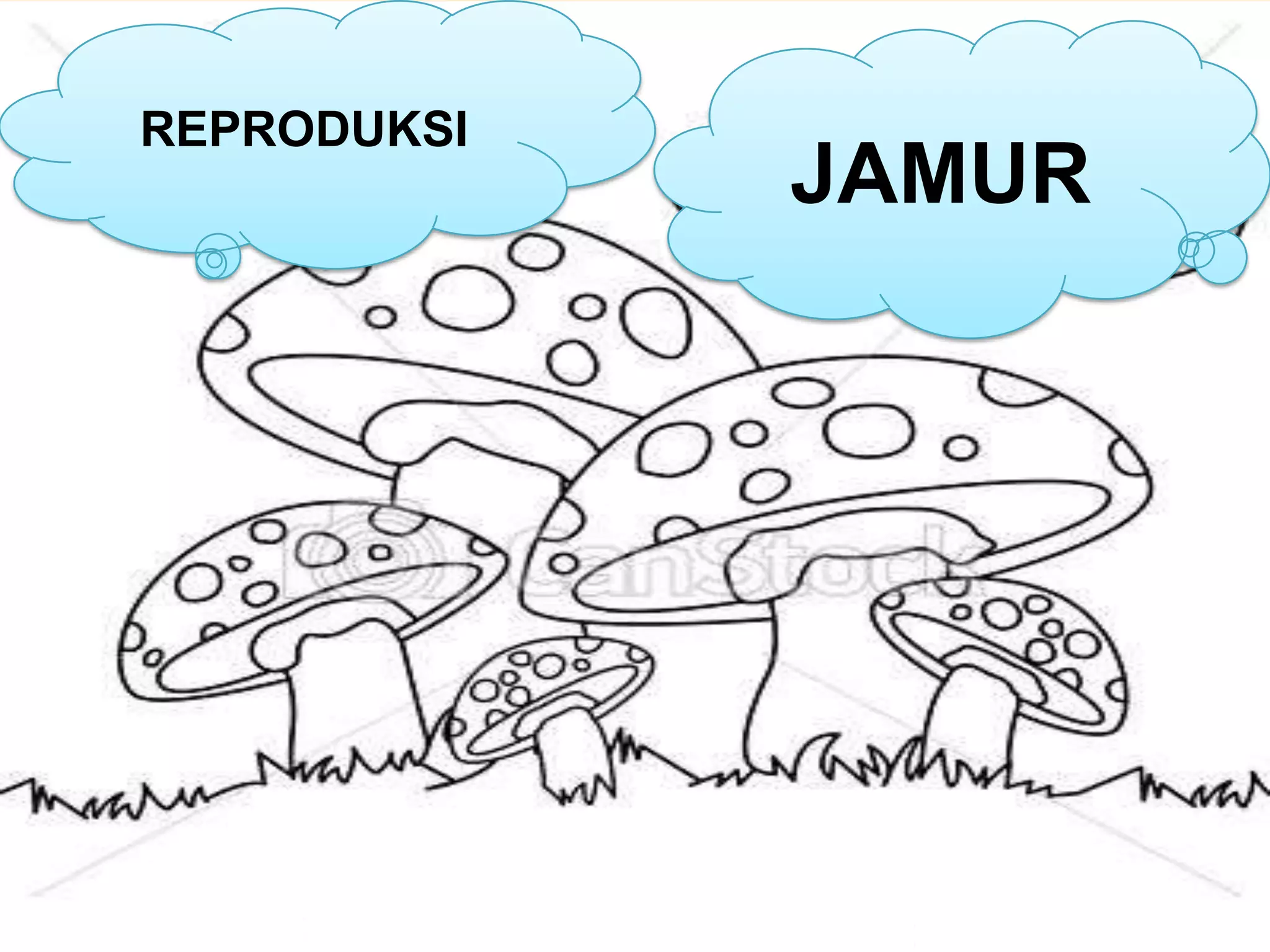 REPRODUKSI
             JAMUR
 