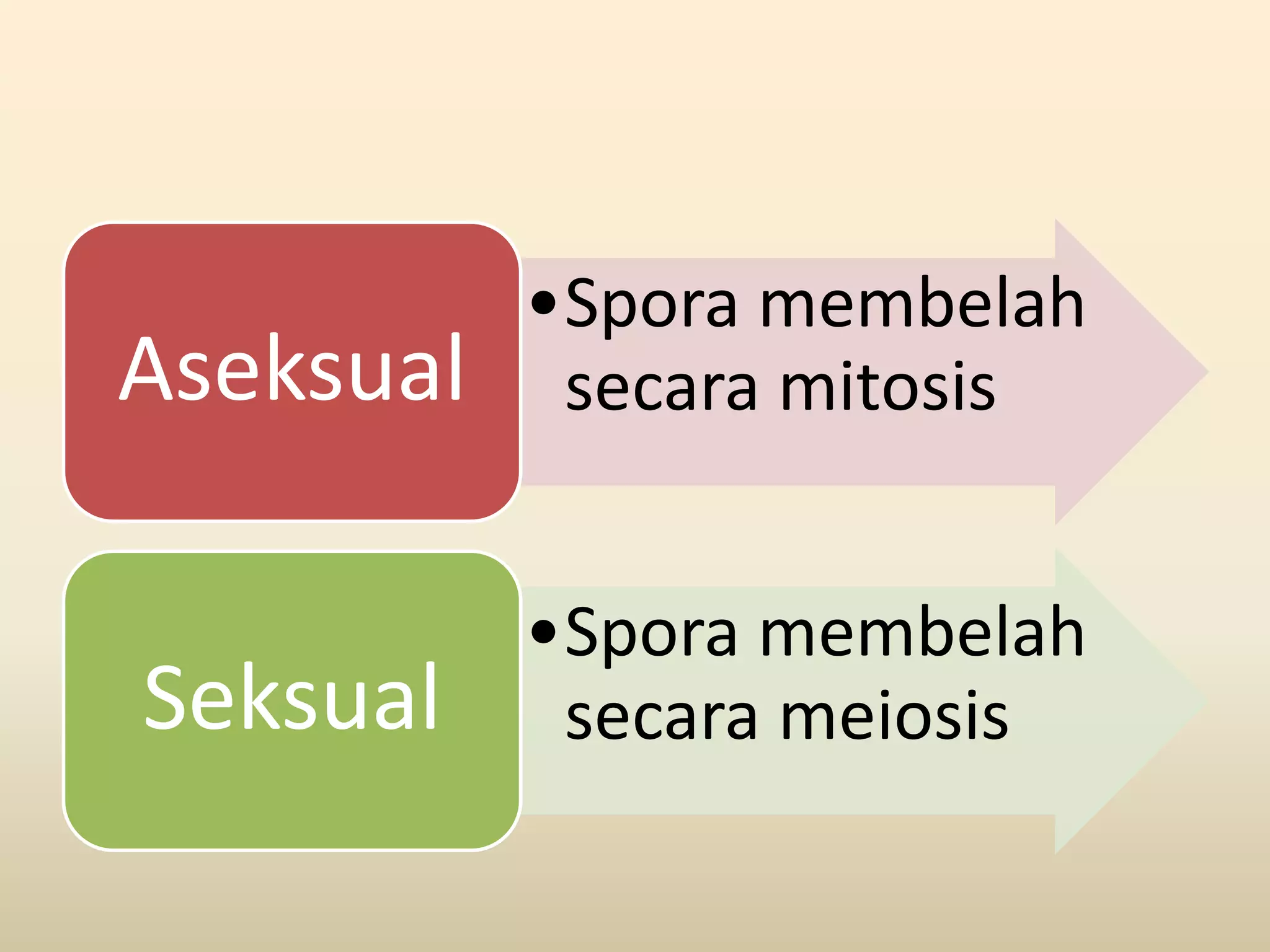 •Spora membelah
Aseksual    secara mitosis


           •Spora membelah
Seksual     secara meiosis
 