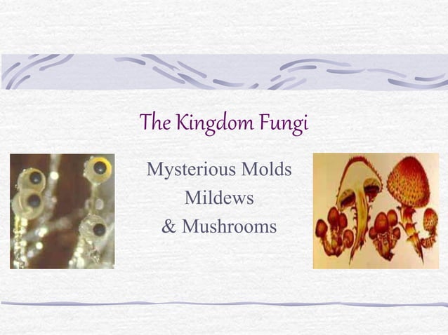 General Characteristics & Classification of Fungi | PPT | Gardening ...