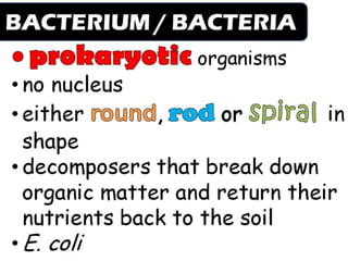Fungi, Protists and Bacteria