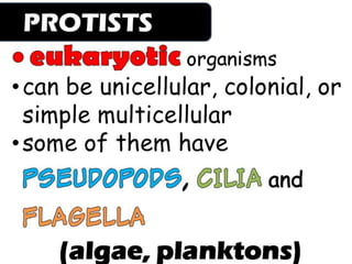 Fungi, Protists and Bacteria