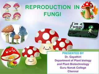REPRODUCTION IN
FUNGI
PRESENTED BY
Dr. Gayathiri
Department of Plant biology
and Plant Biotechnology
Guru Nanak College
Chennai
 