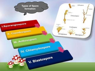 Fungi reproduction | PPTX