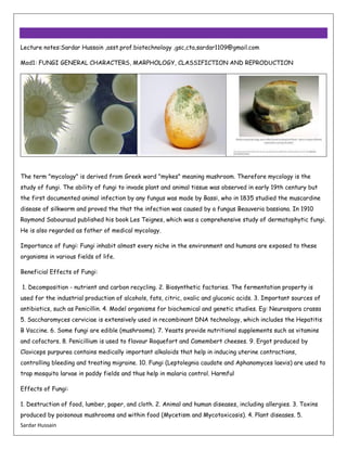 Fungi | PDF