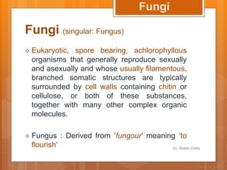 Introduction to the world of Fungi | PPT